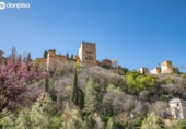 Edifici
en venda
amb 439m² a Granada foto