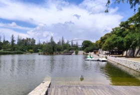 Foto 14