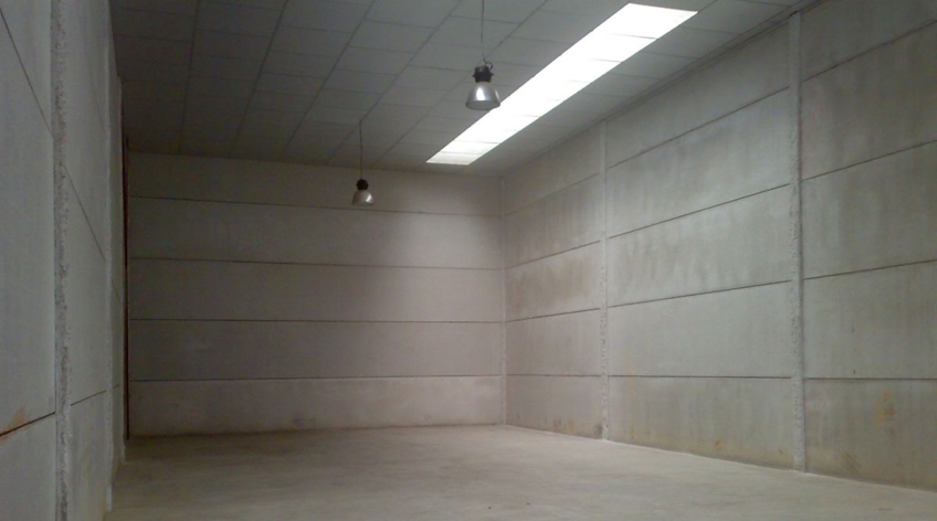 Nave