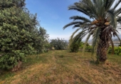 Nave en venta con 420m² en Motril foto