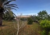 Nave en venta con 420m² en Motril foto