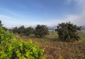 Nave en venta con 420m² en Motril foto