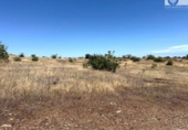  commercial premises for sale in Villablanca, photo