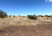  commercial premises for sale in Villablanca, photo