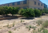 Edifici
en venda
amb 319m² a Tortosa, Carrer d'Alexander Fleming foto