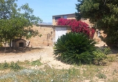 Edifici
en venda
amb 319m² a Tortosa, Carrer d'Alexander Fleming foto