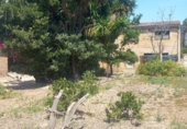 Edifici
en venda
amb 319m² a Tortosa, Carrer d'Alexander Fleming foto