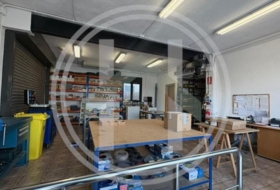 Foto 11