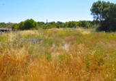 Local comercial Industrial
en venda
amb 560m² a Muro, Carrer Sant Joan foto