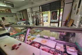 Foto 15