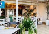 480m² restaurant pour vente à Elche, dans le quartier de Les Arenales del Sol photo