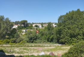 Foto 19