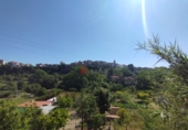 3608m² bâtiment pour vente à Rosell photo