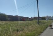 3608m² bâtiment pour vente à Rosell photo