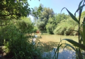 3608m² bâtiment pour vente à Rosell photo