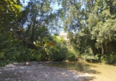 3608m² bâtiment pour vente à Rosell photo