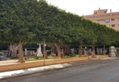250m² commercial premises for rent in Orihuela photo