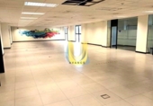 Oficina en alquiler con 728m² en Madrid, en la zona de Valverde, Calle de Portomarín foto