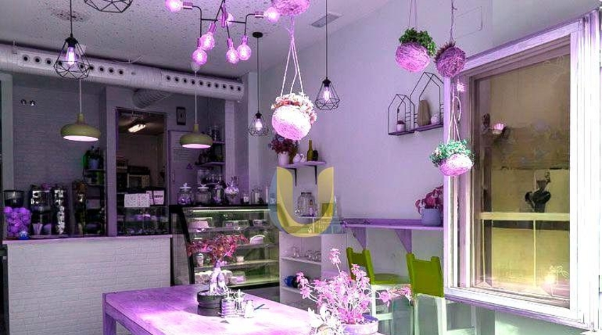 Local comercial