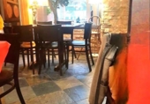 Restaurant
en lloguer
amb 125m² a Alcobendas, Calle Gloria Fuertes foto