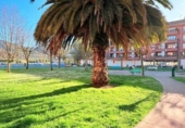 54m² locaux commerciaux pour vente à Mimétiz, Mendieta photo