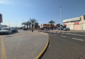 Nau Industrial
en venda
amb 480m² a Elx, Avenida de Novelda foto