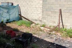 Foto 9