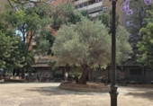 75m² commercial premises for sale in Valencia, in the area of Sant Francesc, photo