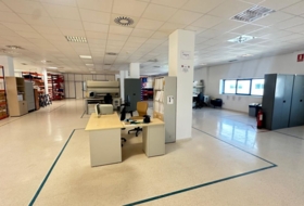 Foto 13