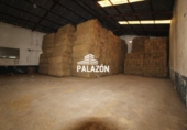 Nau Industrial
en venda
amb 530m² a Dolores, Avenida Príncipe de Asturias foto