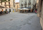 Local comercial en alquiler con 53m² en Ripoll foto