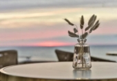 Hotel
en venda
amb 894m² a Mont-roig del Camp, a la zona de Miami Platja, Carrer Cerdanya foto