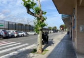 Perruqueria
en venda amb llogaters
amb 40m² a Calafell, Avinguda Barcelona foto