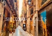Local comercial
en lloguer
amb 30m² a Barcelona, a la zona de Sant Pere, Santa Caterina i la Ribera, Carrer d'en Mònec foto