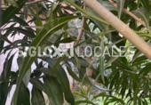 114m² commercial premises for sale in Barcelona, in the area of the Tres Torres, Carrer de Gósol photo