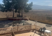 Restaurante en venta con 586m² en Monóvar, Partida La Solaneta foto