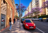 Local comercial
en venda
amb 166m² a Alacant, Calle Rosa Chacel foto