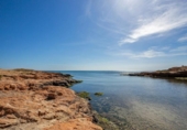 Nave en venta con 83m² en Torrevieja, Avenida Diego Ramírez Pastor foto