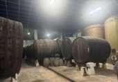 1827m² warehouse industrial for sale in Nava, photo