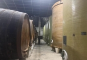 1827m² warehouse industrial for sale in Nava, photo