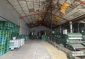 1827m² warehouse industrial for sale in Nava, photo