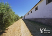 Nau Industrial
en venda
amb 776m² a Otero, Calle del Olmo foto