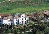 Hotel en venta con 13338m² en Villamartín, Calle Torrevieja foto