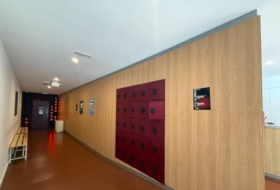 Foto 7