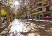 Oficinas en alquiler con 16m² en Orihuela, Calle Luis Barcala foto