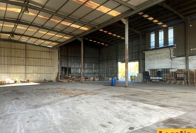 Foto 15
