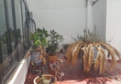 Oficina en alquiler con 100m² en Jerez de la Frontera foto