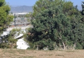 447m² warehouse industrial for sale in Málaga, in the area of The Meadows, Calle Bruselas photo