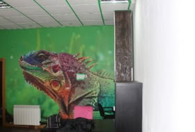 Foto 4