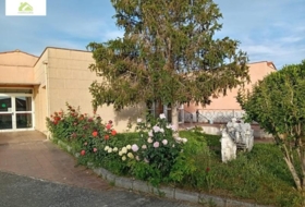 Foto 17